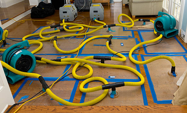 Professional Sewage Cleanup technician working in Enfield, NC
